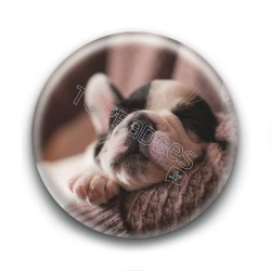 Badge Chiot Endormi