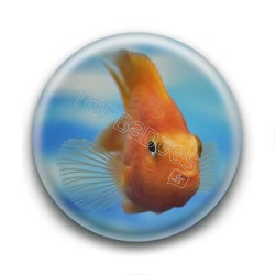 Badge Poisson Orange