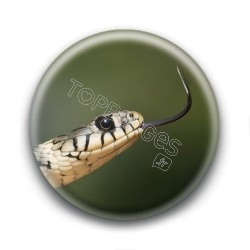 Badge Serpent