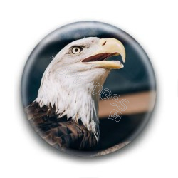 Badge Aigle