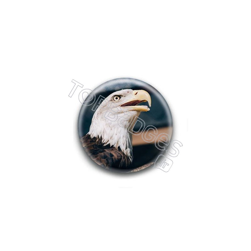 Badge Aigle