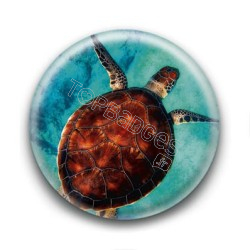 Badge Tortue