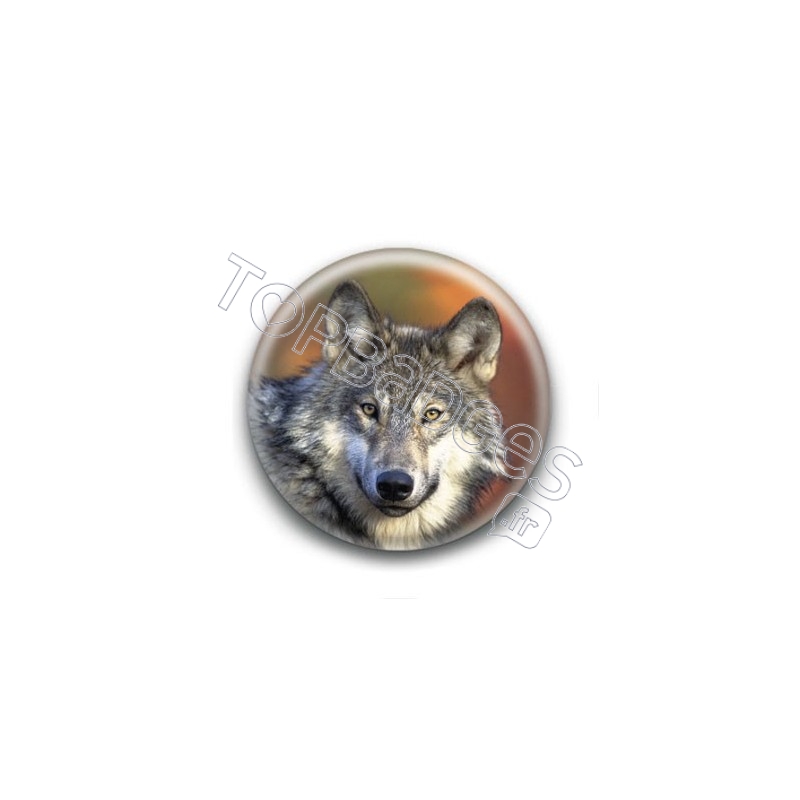 Badge : Loup d'automne