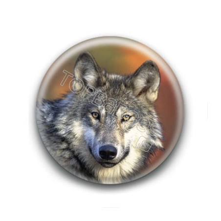 Badge : Loup d'automne