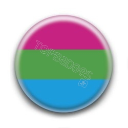 Badge : Drapeau polysexuel