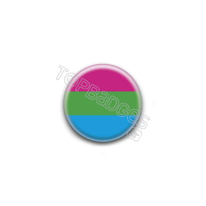 Badge : Drapeau polysexuel