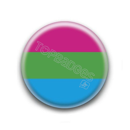 Badge : Drapeau polysexuel