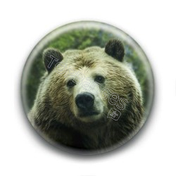 Badge : Ours brun