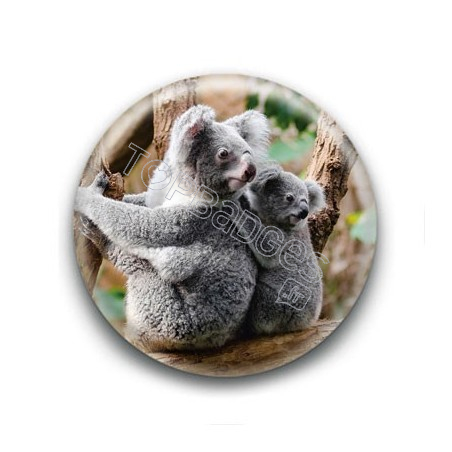 Badge Koalas