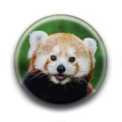 Badge Panda Roux