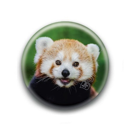 Badge Panda Roux