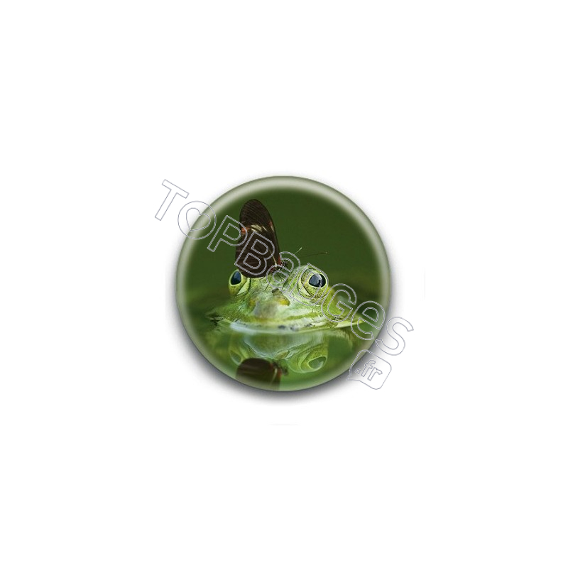 Badge Grenouille Papillon