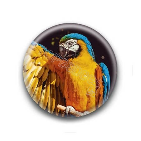 Badge Perroquet