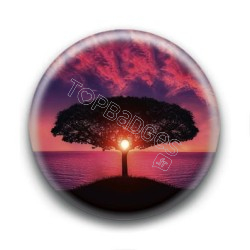 Badge Arbre Solaire