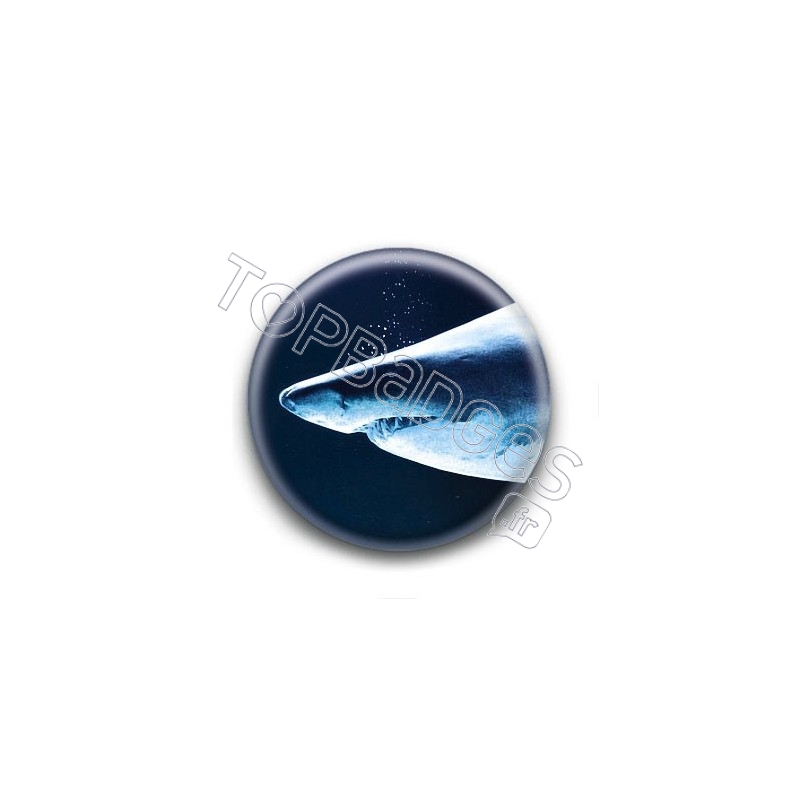 Badge Requin