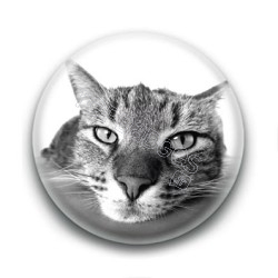 Badge Chat Gros Plan