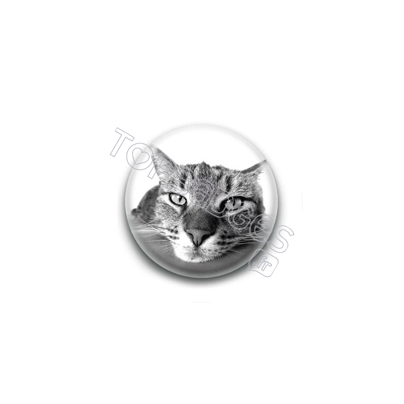 Badge Chat Gros Plan