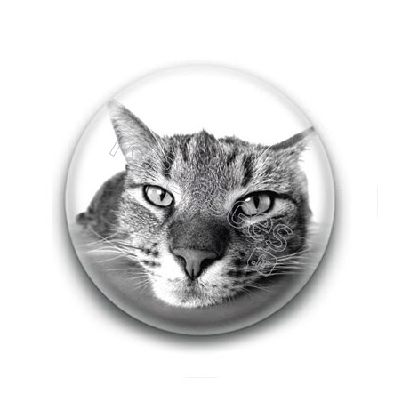 Badge Chat Gros Plan