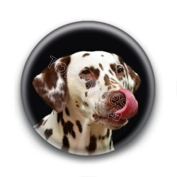 Badge Dalmatien