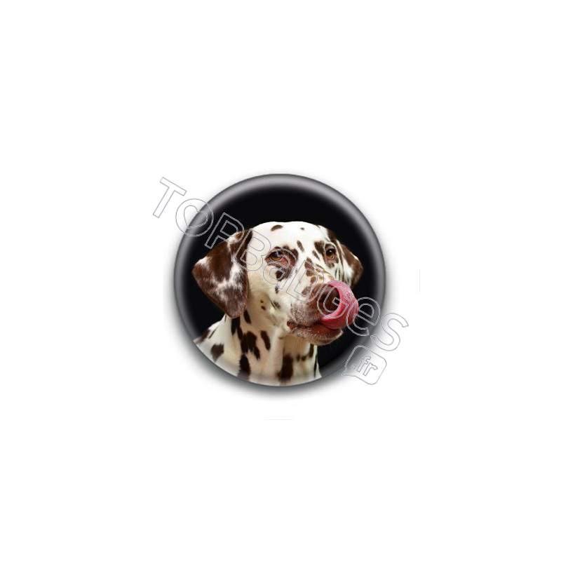 Badge Dalmatien