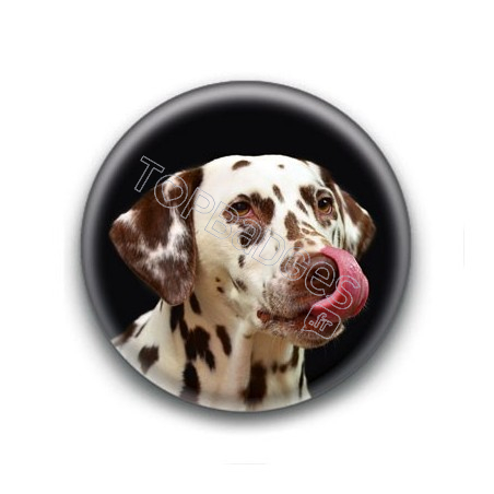 Badge Dalmatien