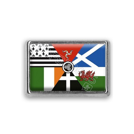 Pins rectangle : Drapeau Interceltique