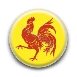 Badge drapeau de Wallonie-Belgique