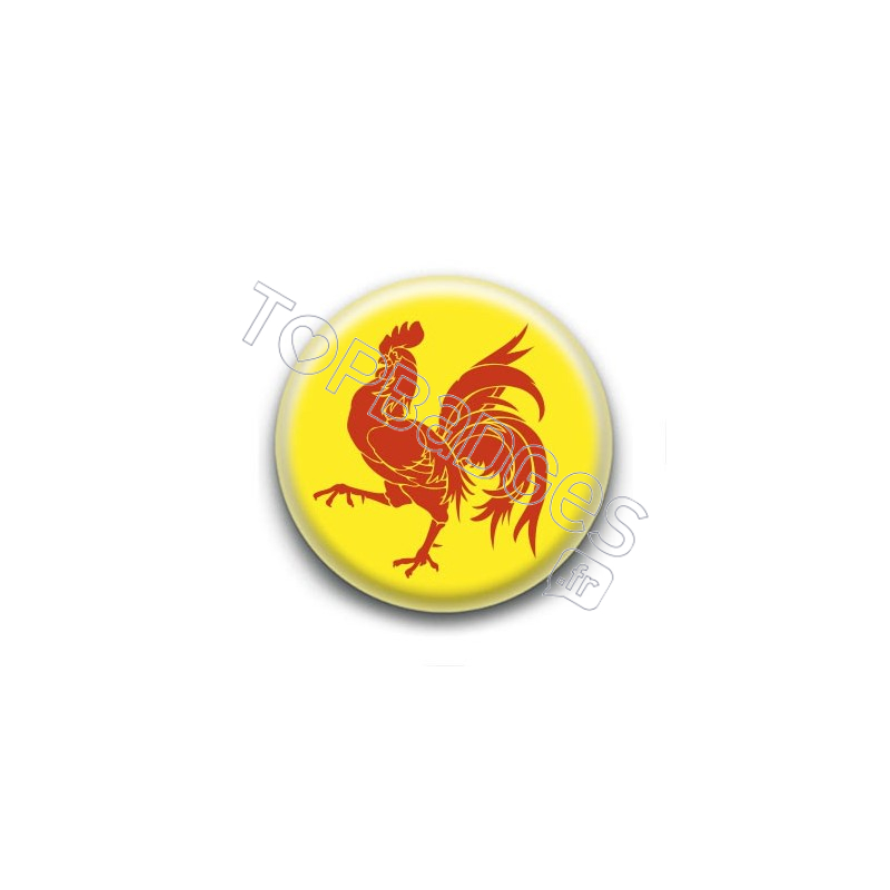 Badge drapeau de Wallonie-Belgique