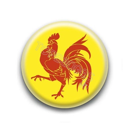 Badge drapeau de Wallonie-Belgique