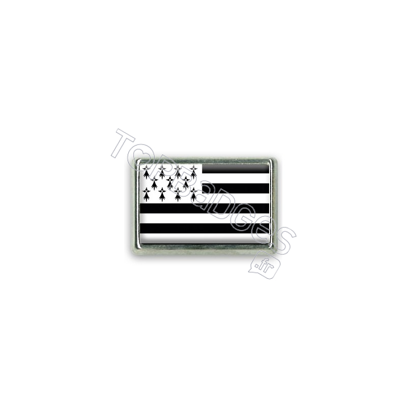 Pins rectangle : Drapeau Bretagne