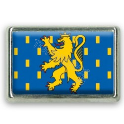 Pins rectangle : Drapeau Franche Comté