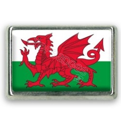 Pins rectangle : Drapeau Pays de Galles