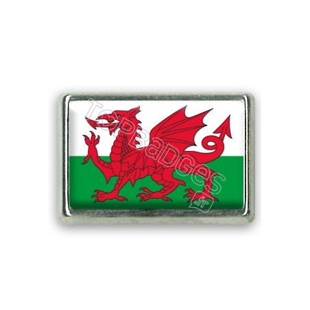 Pins rectangle : Drapeau Pays de Galles