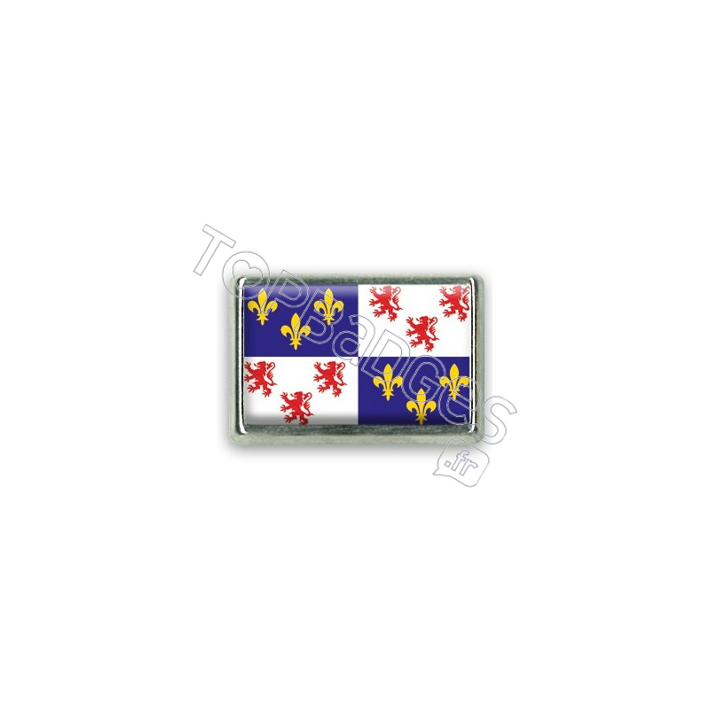 Pins rectangle : Drapeau Picardie