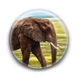 Badge : Eléphant
