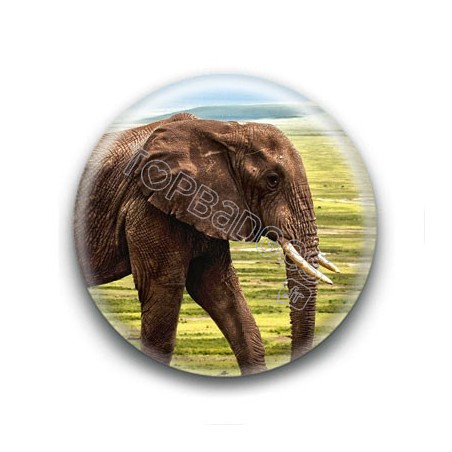 Badge : Eléphant