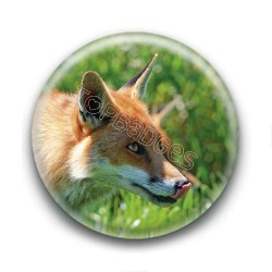 Badge : Renard