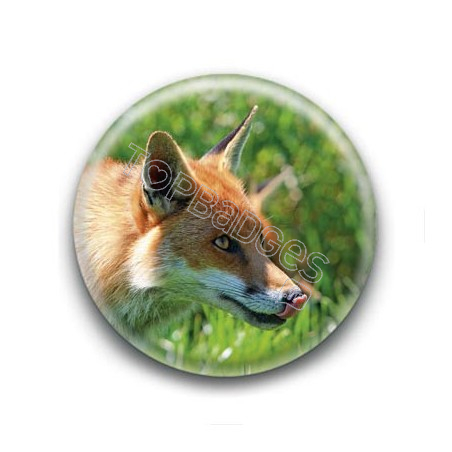 Badge : Renard