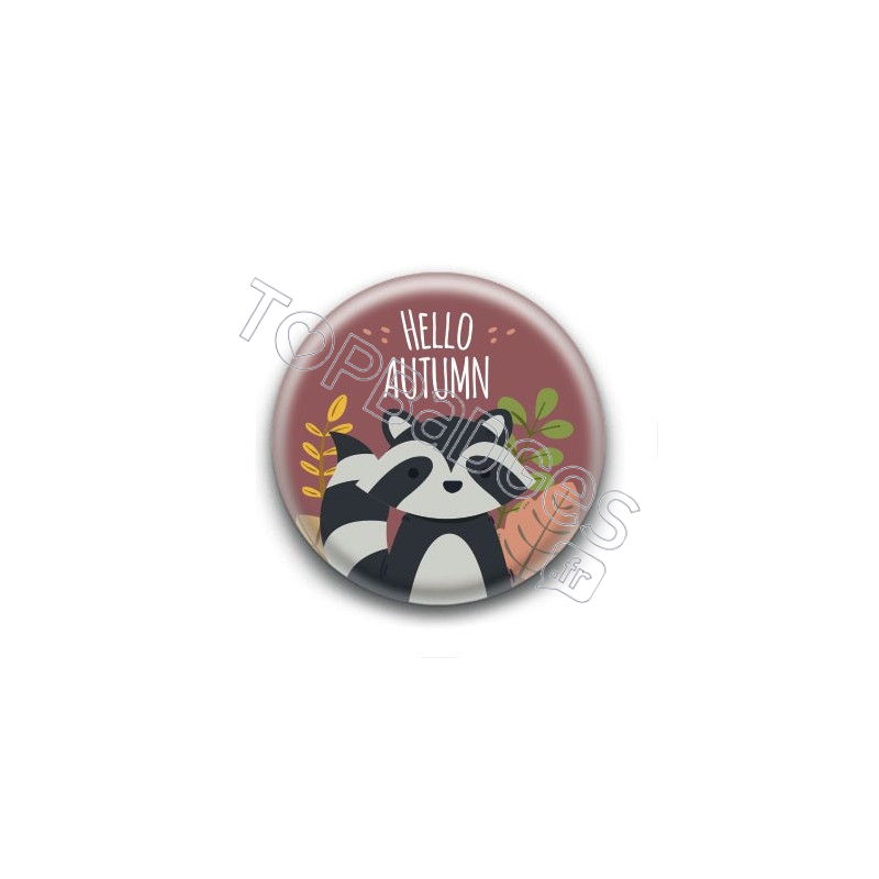 Badge : Hello Autumn, raton laveur