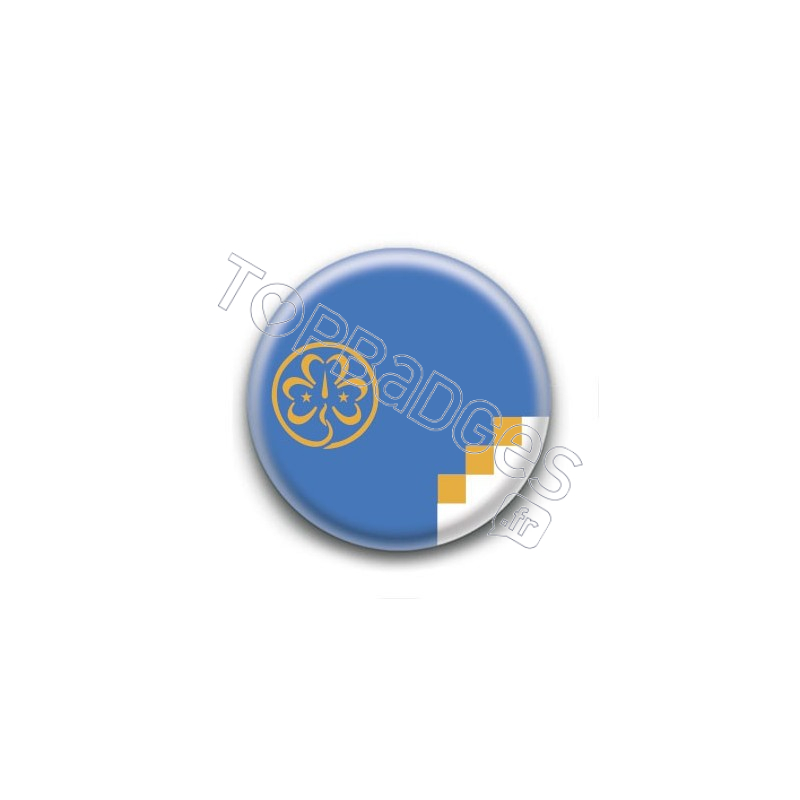 Badge : Drapeau Scout