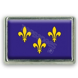 Pins rectangle : Drapeau Île de France