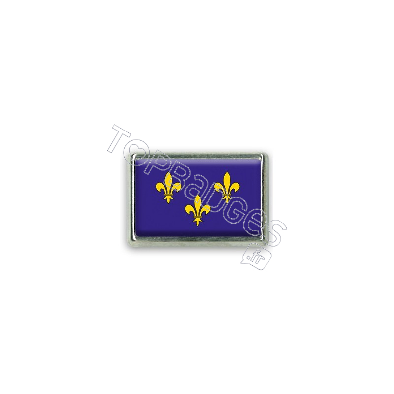 Pins rectangle : Drapeau Île de France