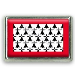 Pins rectangle : Drapeau Limousin