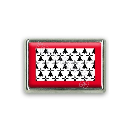 Pins rectangle : Drapeau Limousin