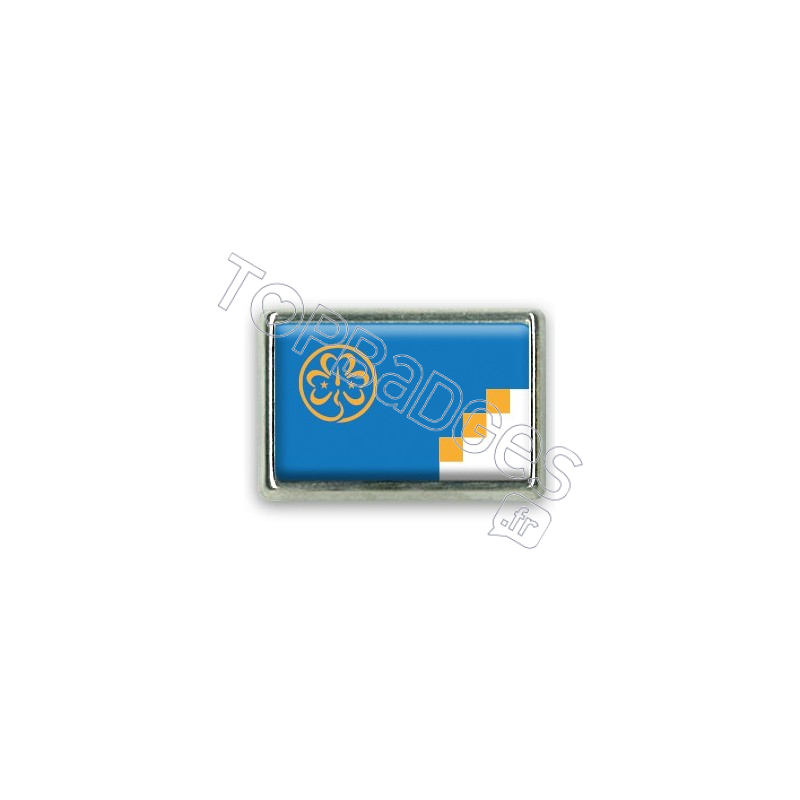 Pins rectangle : Drapeau Antarctique