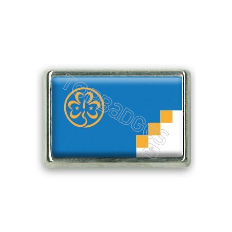 Pins rectangle : Drapeau Antarctique