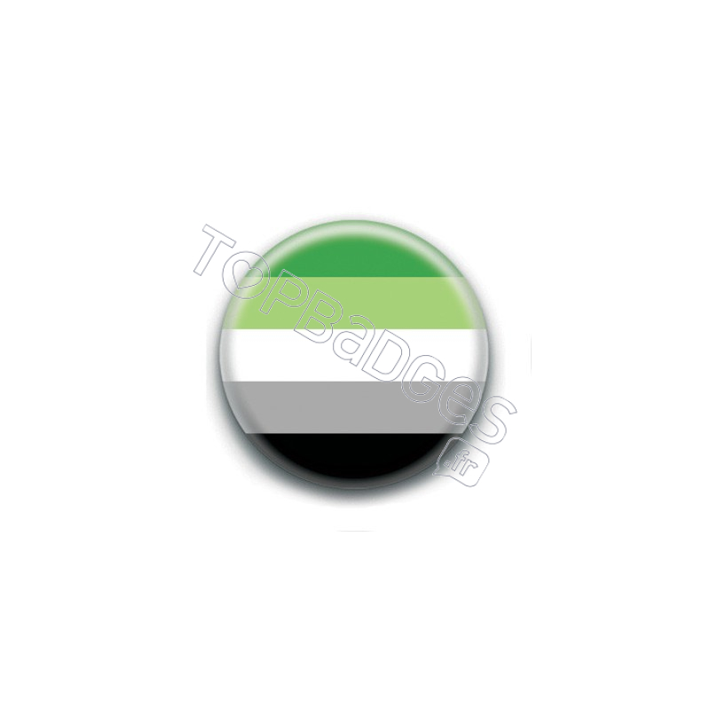 Badge : Drapeau aromantique