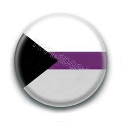 Badge : Drapeau demisexuel