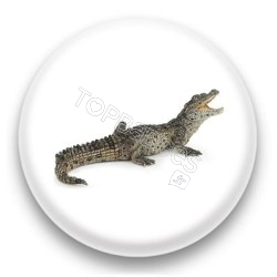 Badge Crocodile