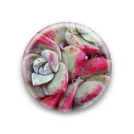 Badge : Succulentes